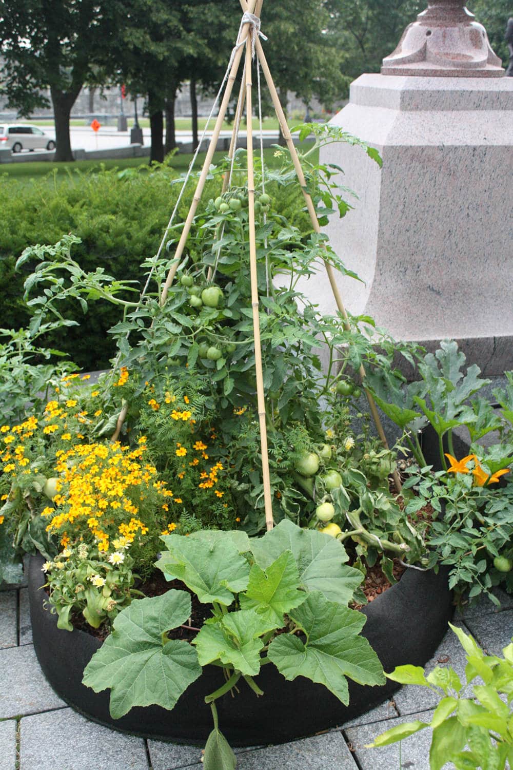 Smart Pot Round Raised Bed | Heirloom Boulevard