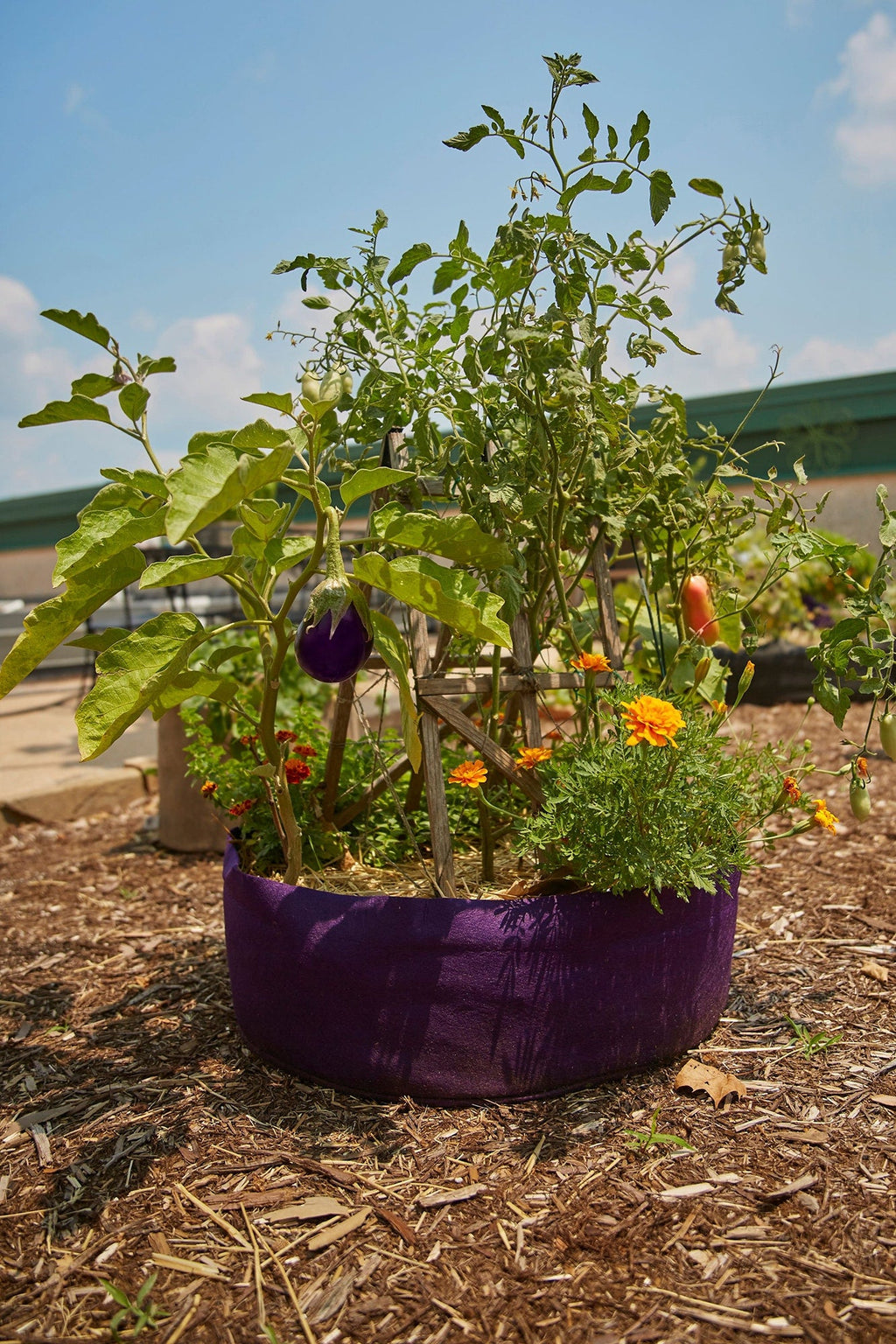 Smart Pot Round Raised Bed | Heirloom Boulevard