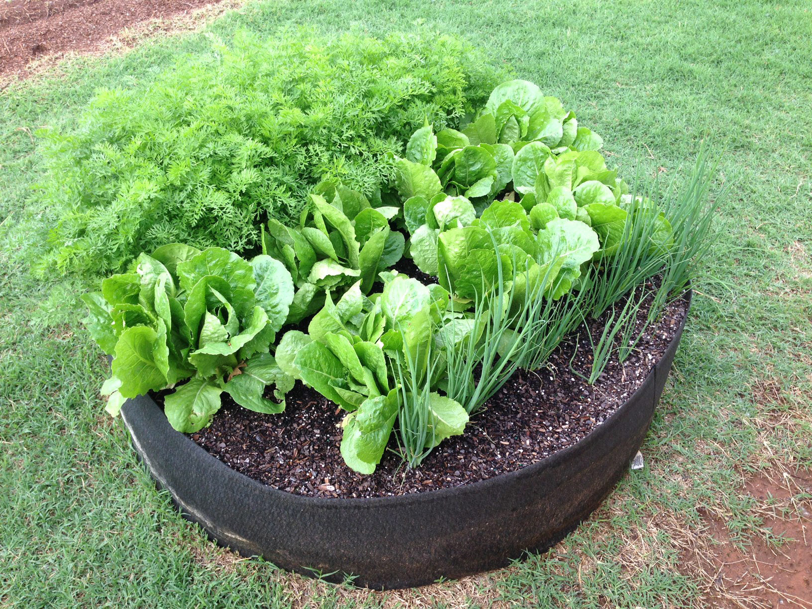 Smart Pot Round Raised Bed | Heirloom Boulevard