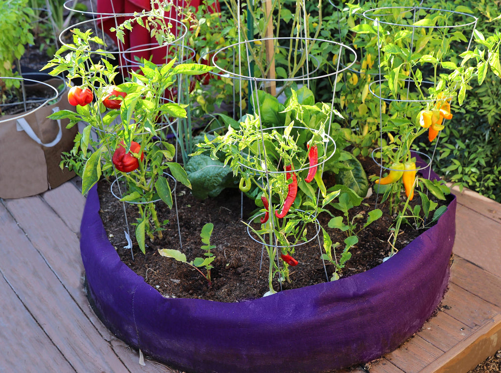 Smart Pot Round Raised Bed | Heirloom Boulevard