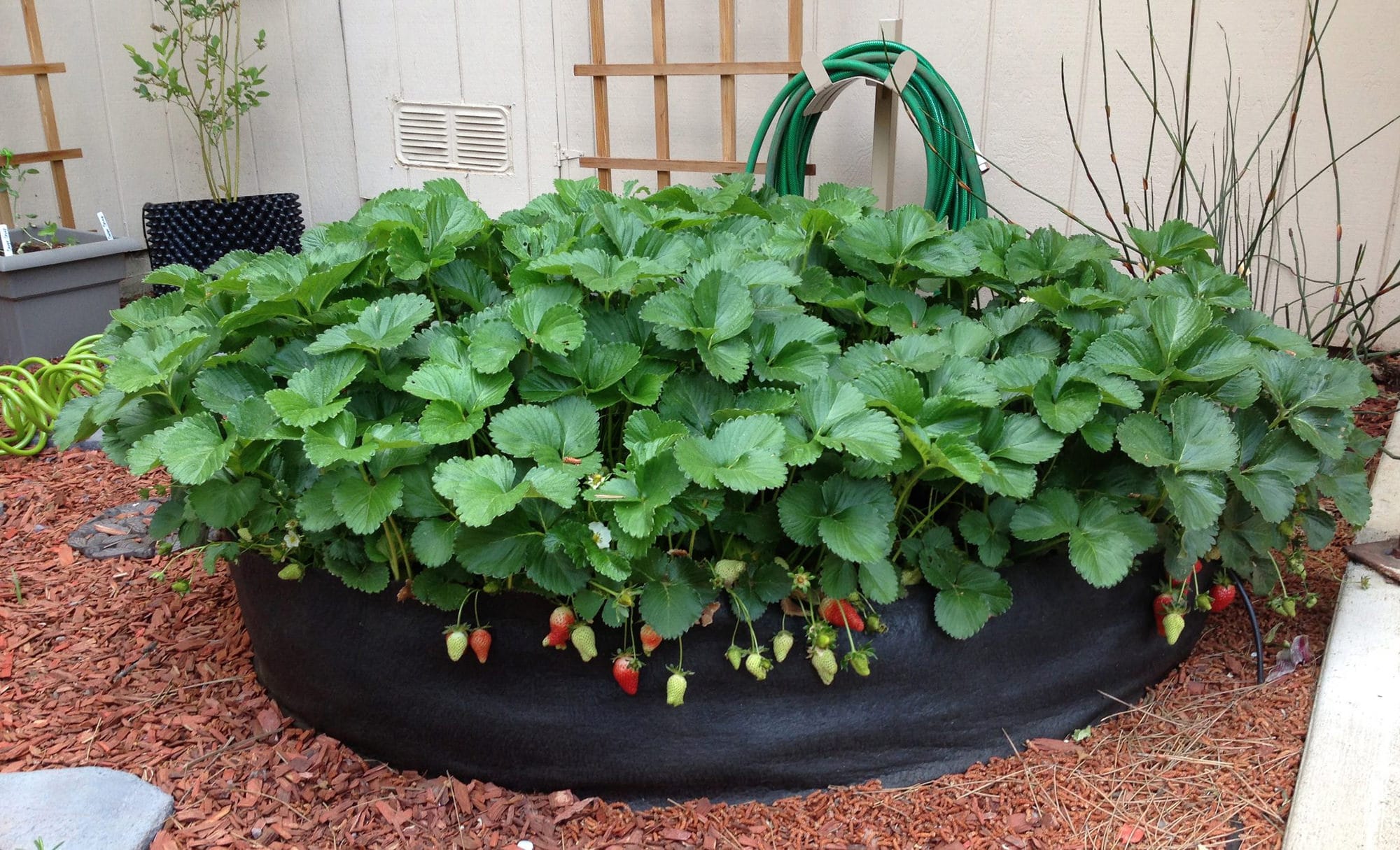 Smart Pot Round Raised Bed | Heirloom Boulevard
