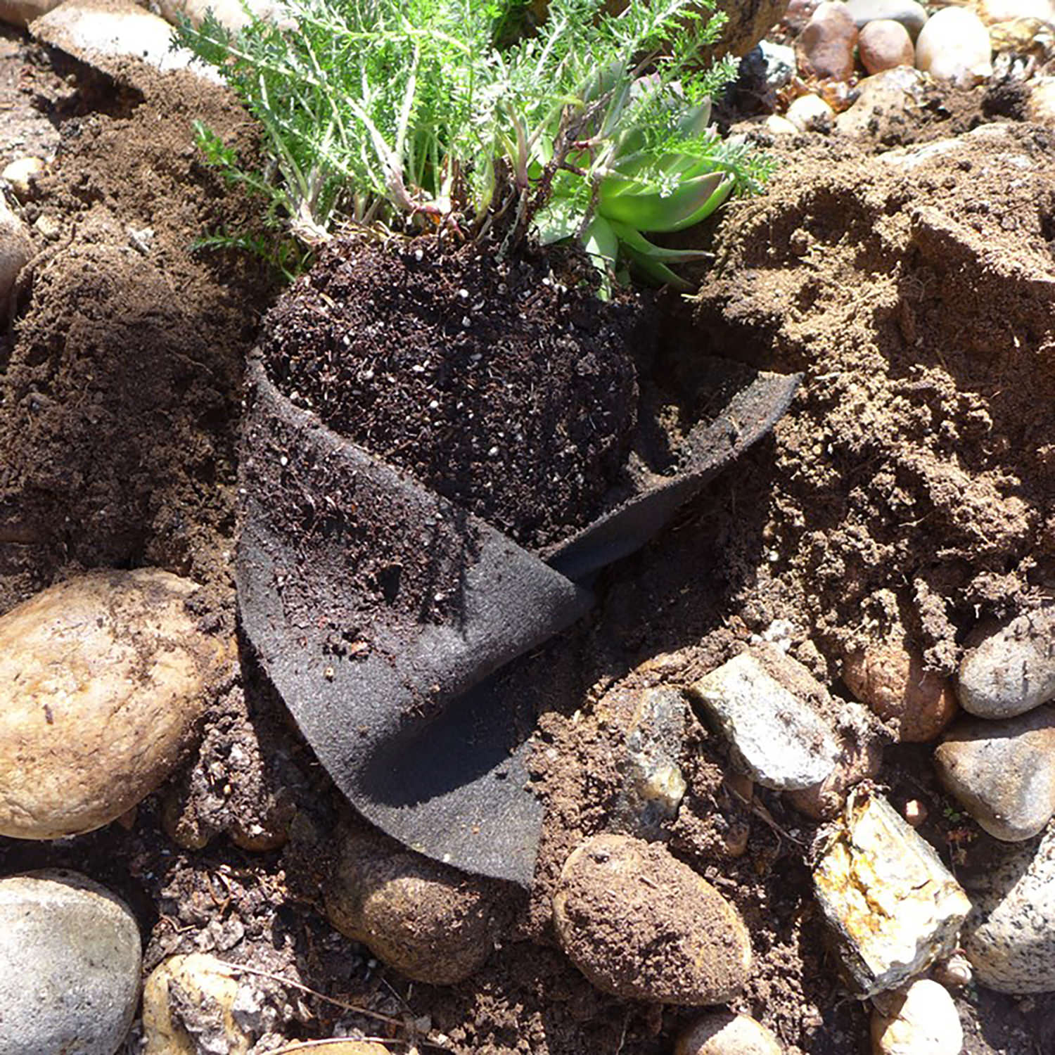 Smart Pot Transplanter | Heirloom Boulevard