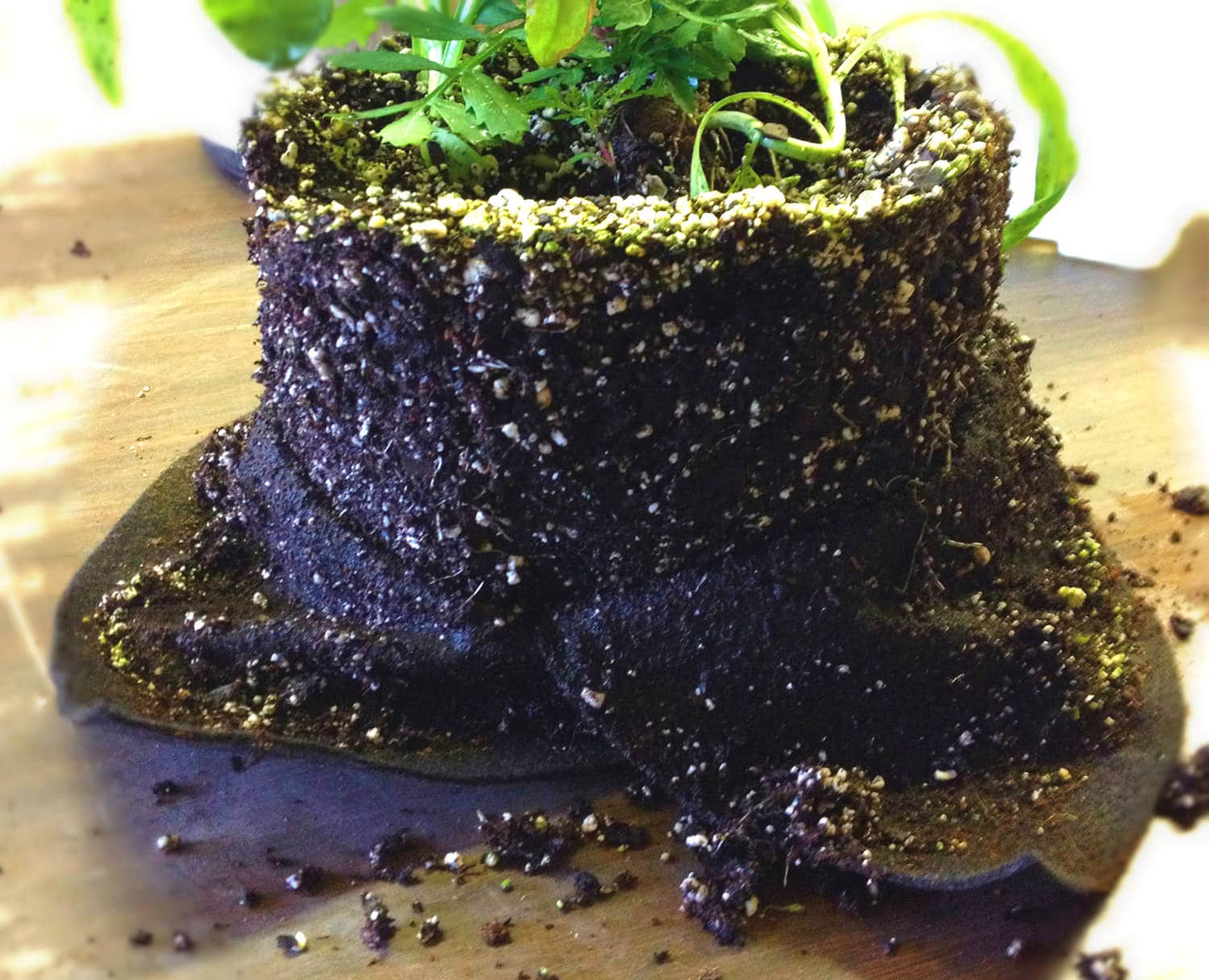 Smart Pot Transplanter | Heirloom Boulevard