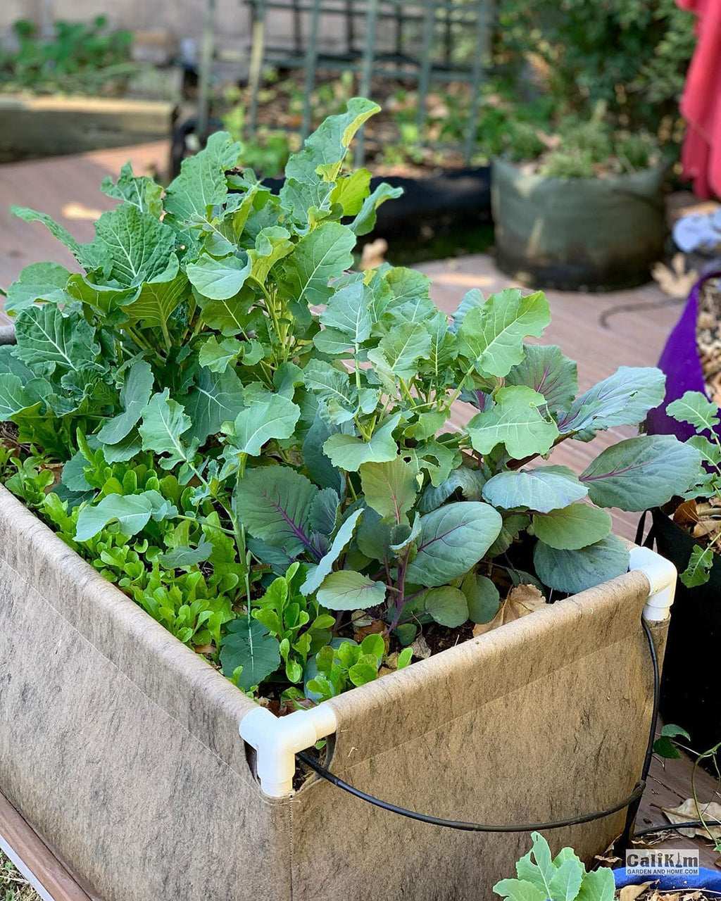 Smart Pot Urban Raised Bed | Heirloom Boulevard