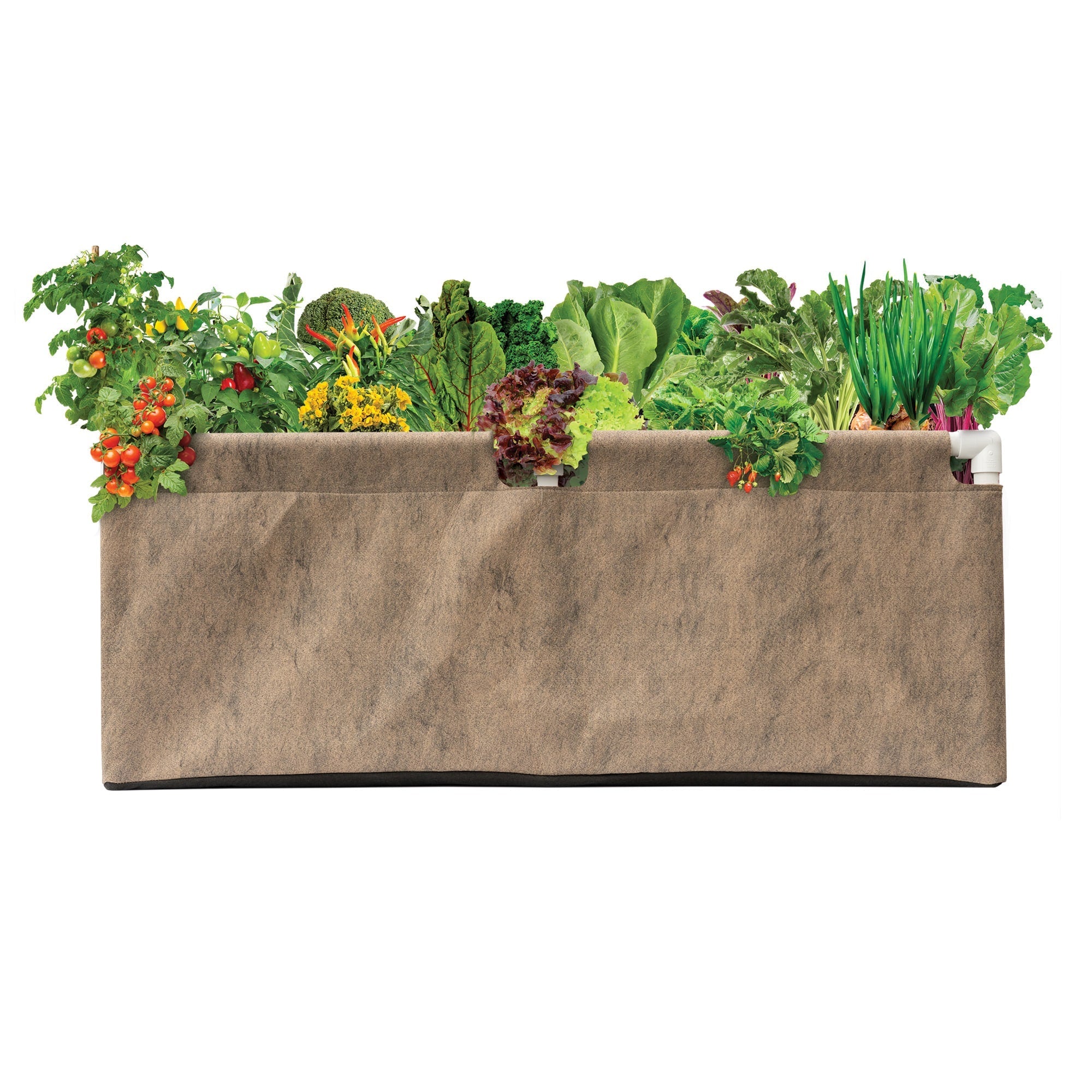 Smart Pot Urban Raised Bed | Heirloom Boulevard