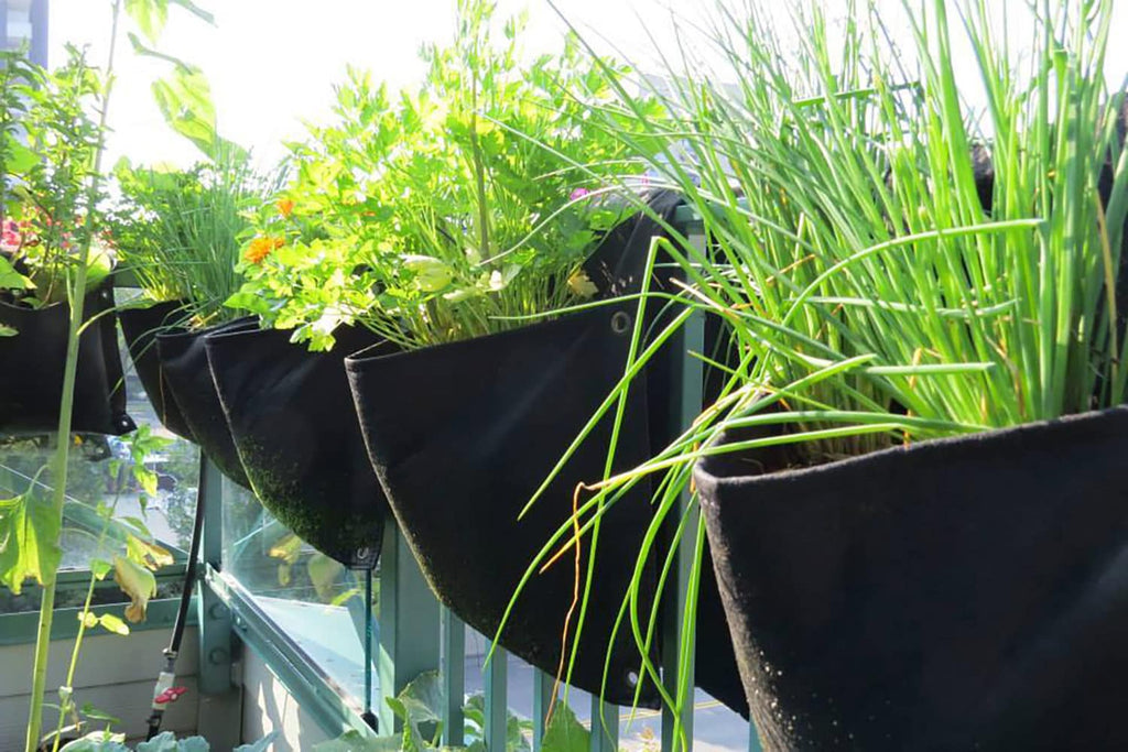 Smart Pot Wall Flower Saddle Planter | Heirloom Boulevard