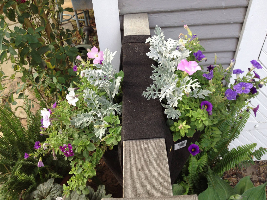 Smart Pot Wall Flower Saddle Planter | Heirloom Boulevard