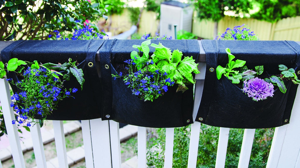 Smart Pot Wall Flower Saddle Planter | Heirloom Boulevard