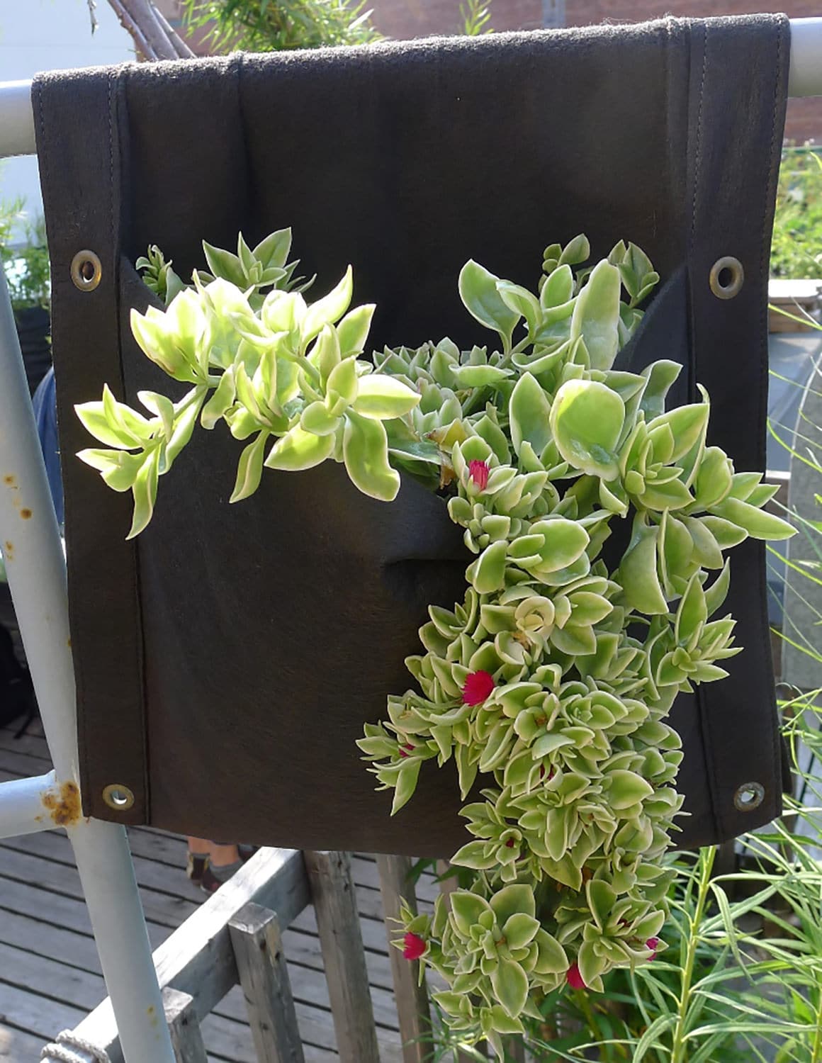 Smart Pot Wall Flower Saddle Planter | Heirloom Boulevard