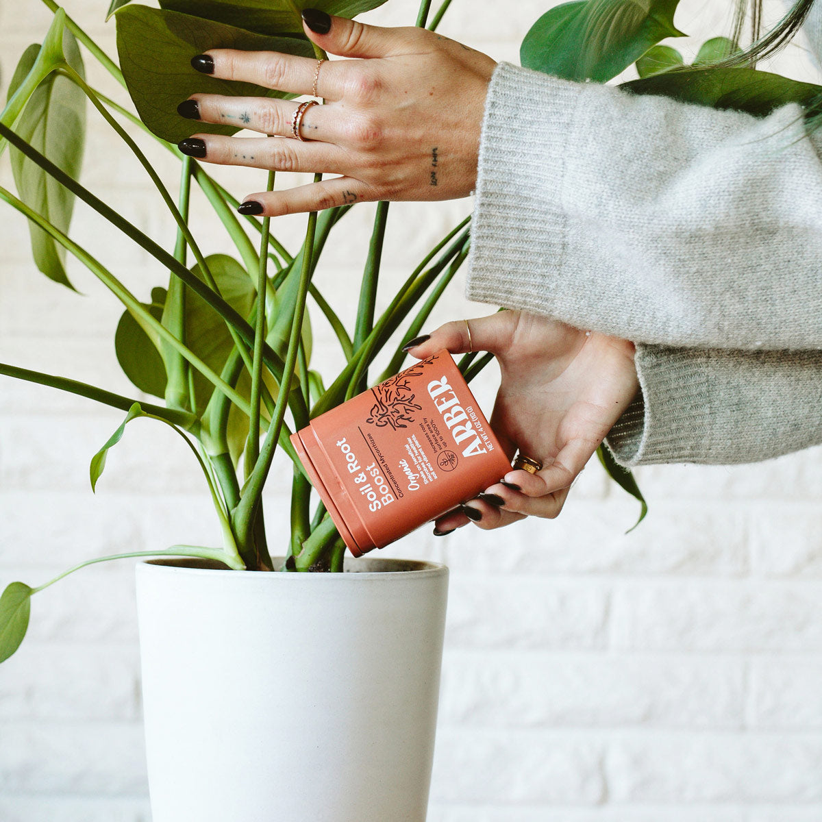 Arber Organic Soil & Root Boost | Heirloom Boulevard