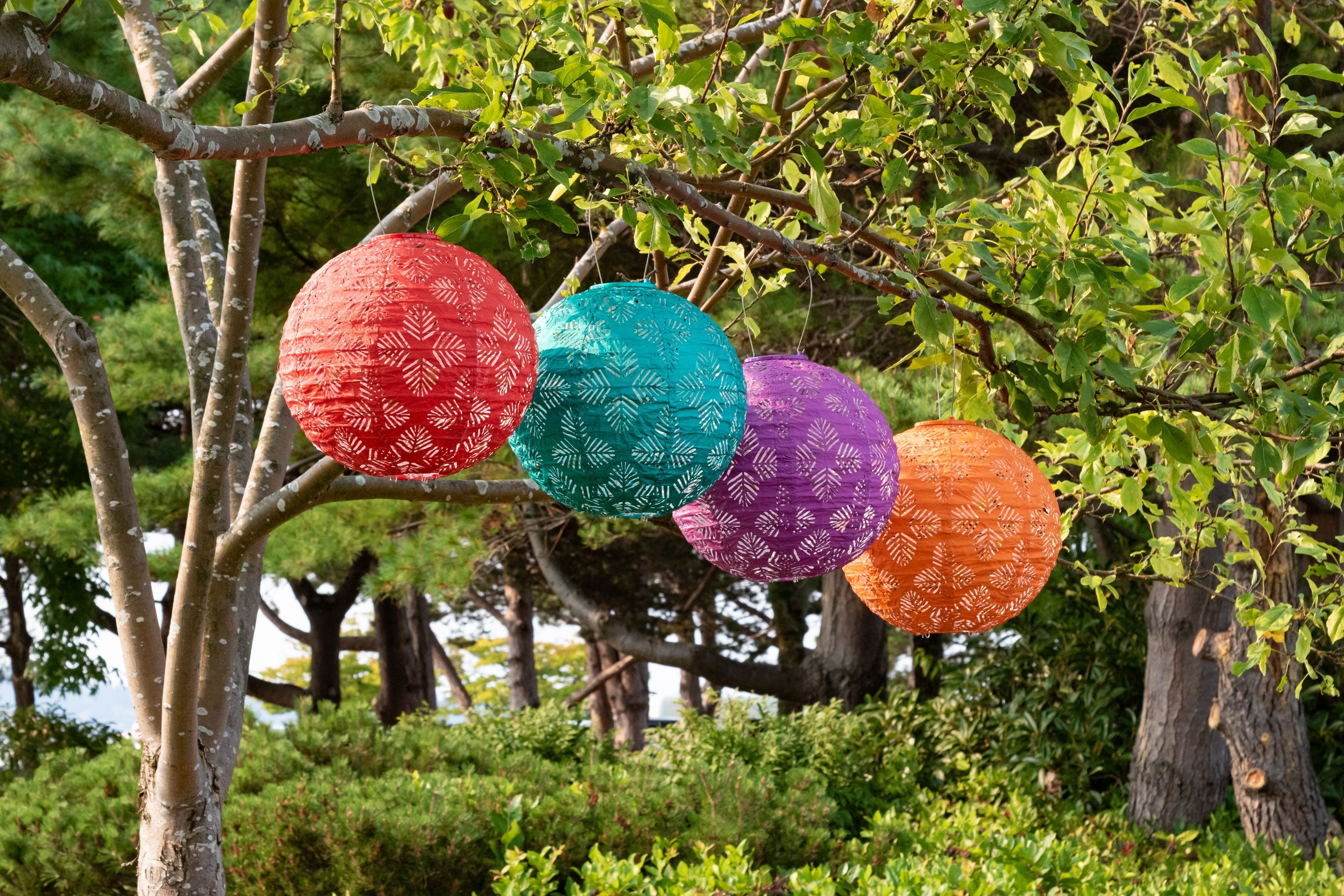 Allsop Soji Stella - Brights Geo Palm - 12" Solar Lantern | Heirloom Boulevard