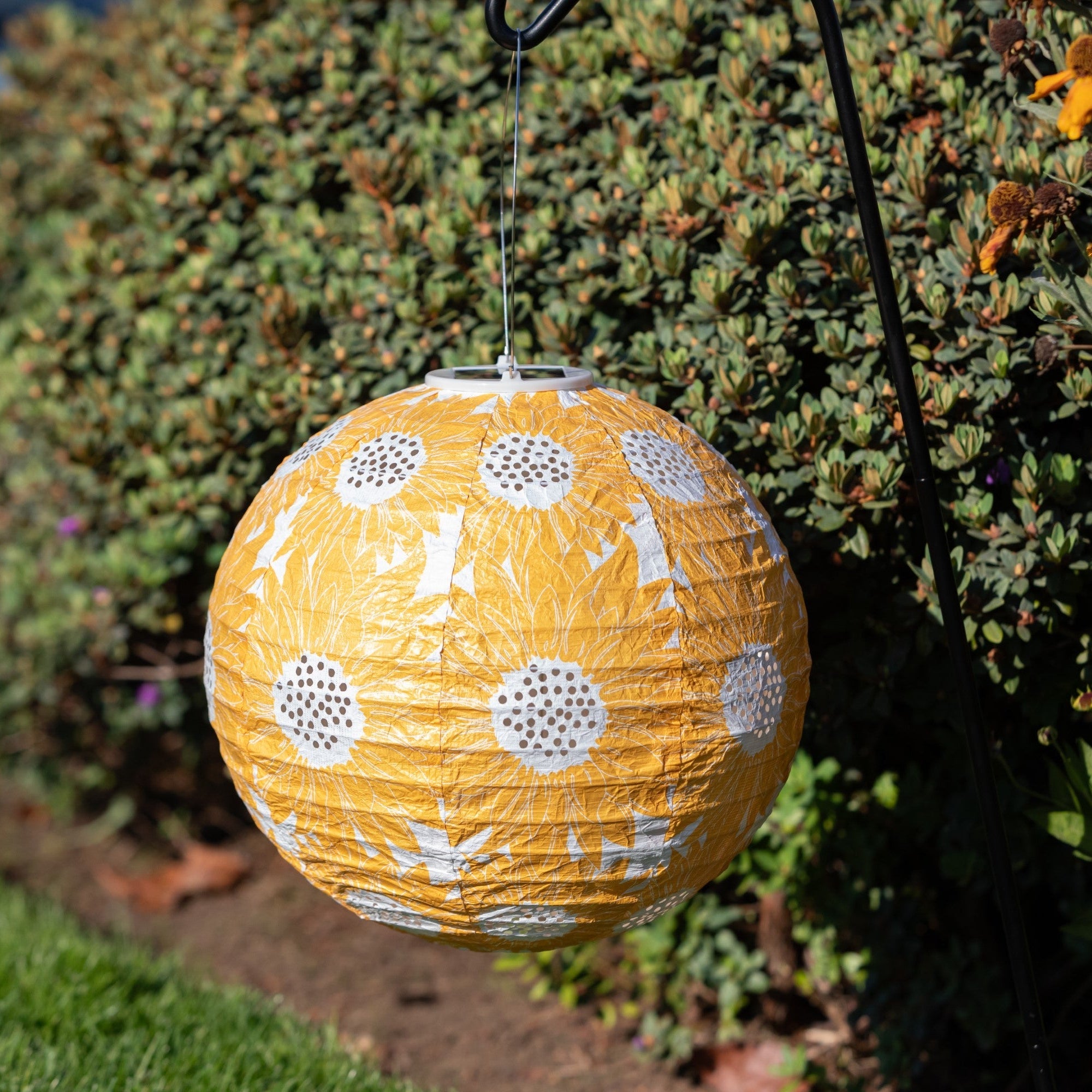 Allsop Soji Stella - Sunflower - 12" Solar Lantern | Heirloom Boulevard