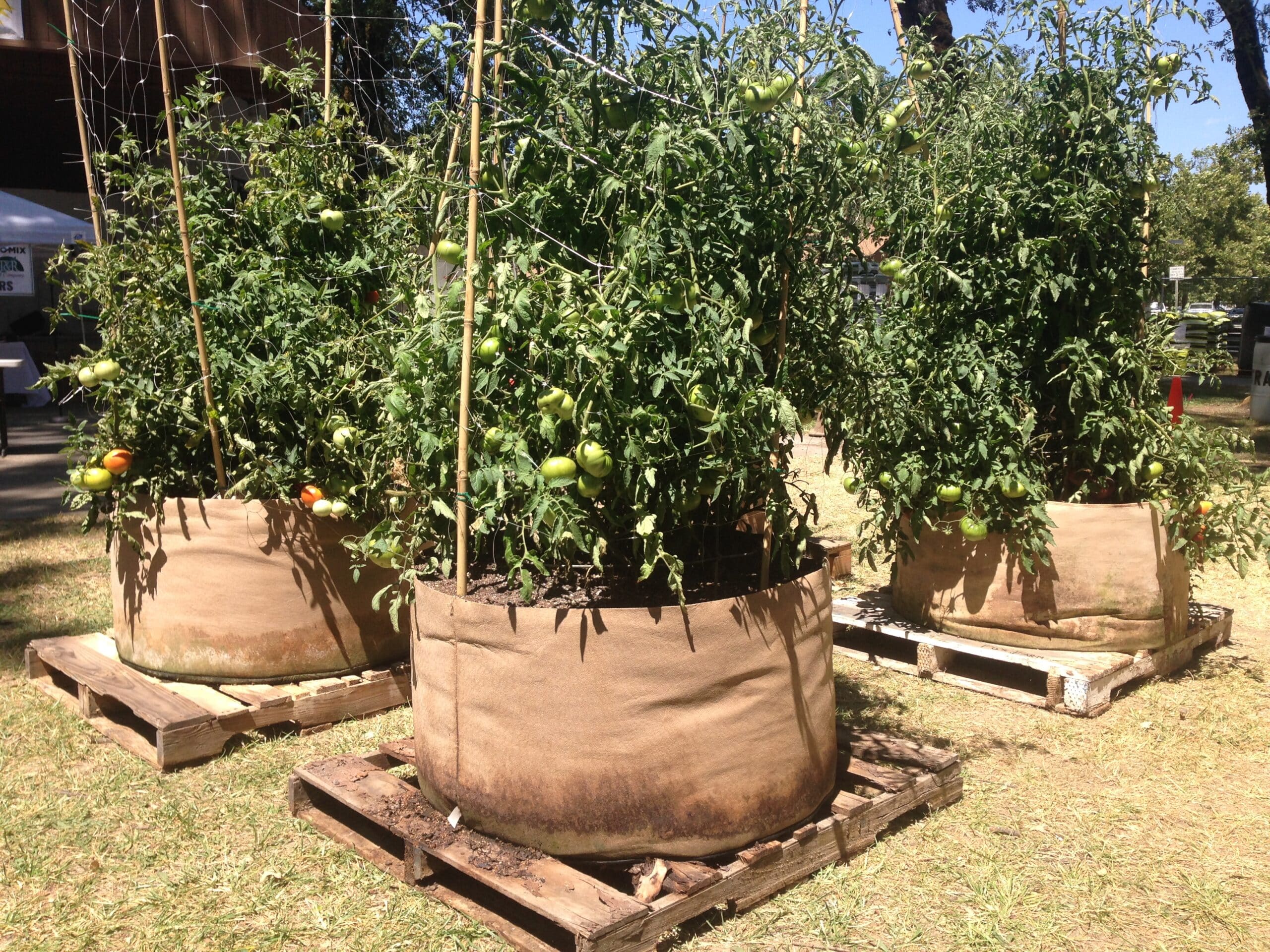 Smart Pot Fabric Planter | Heirloom Boulevard