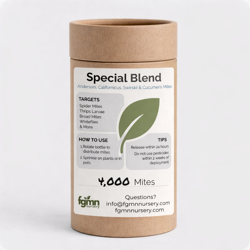 FGMN Nursery Special Blend Predatory Mite Mix Large — 4,000 Mites — Treats 40 Plants (6" pots) | Heirloom Boulevard