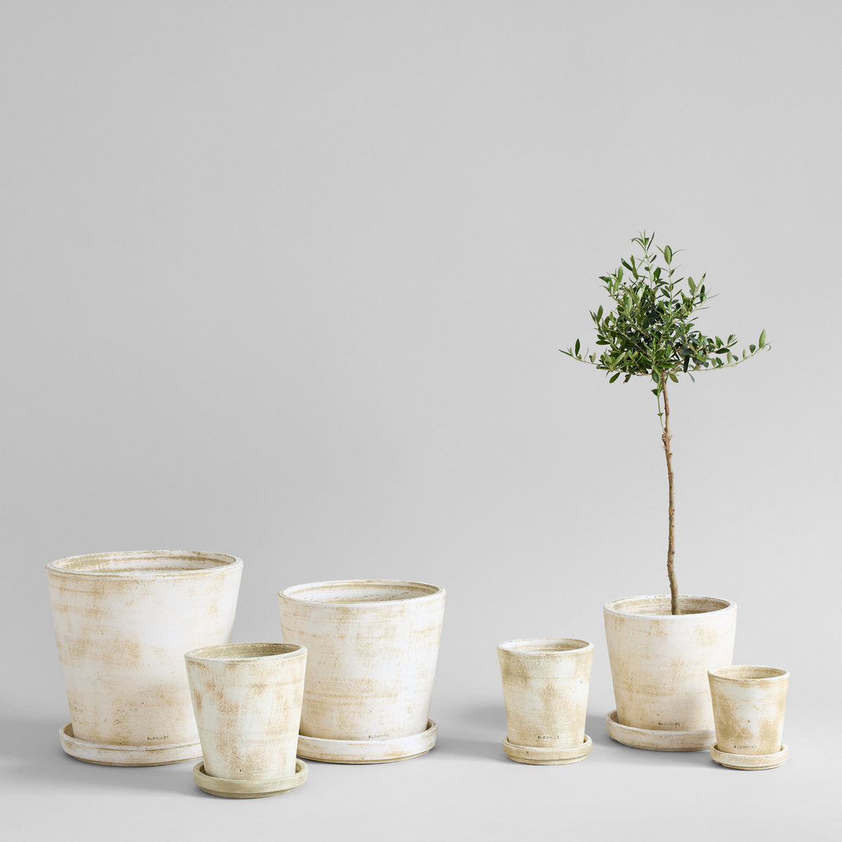 Bloomist Basic Planter, White Patina | Heirloom Boulevard