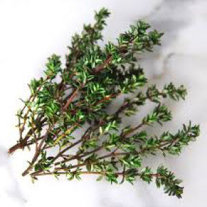THYME Seeds | Heirloom Boulevard
