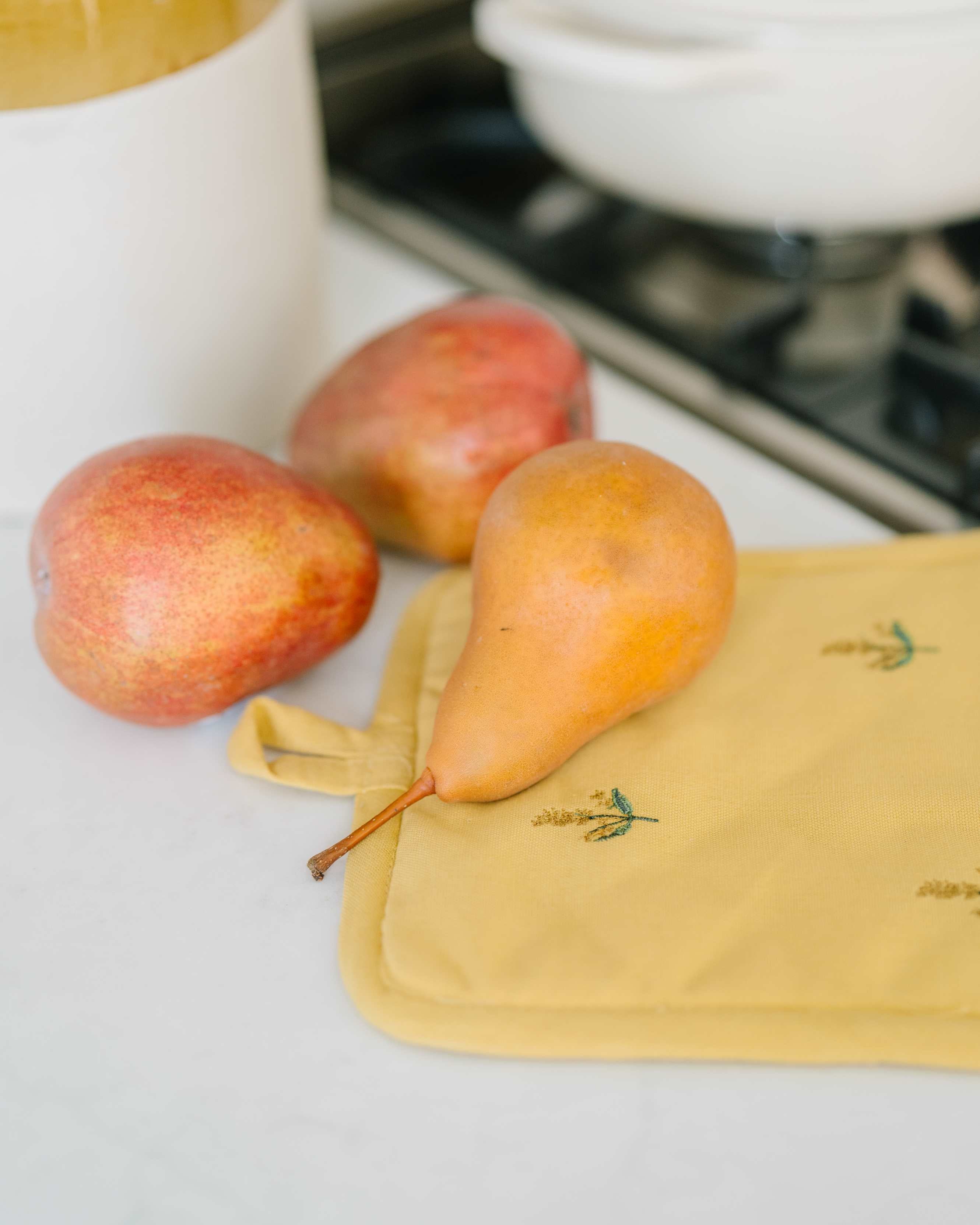 Galley & Fen Yellow Embroidered Pot Holder | Heirloom Boulevard