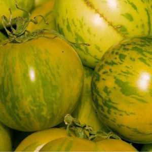 TOMATO Seeds, Green Zebra | Heirloom Boulevard