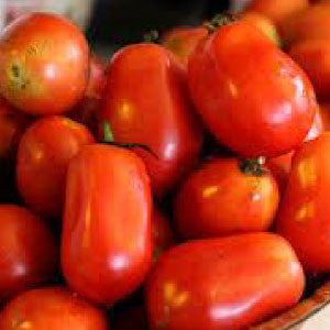TOMATO Seeds, Roma | Heirloom Boulevard