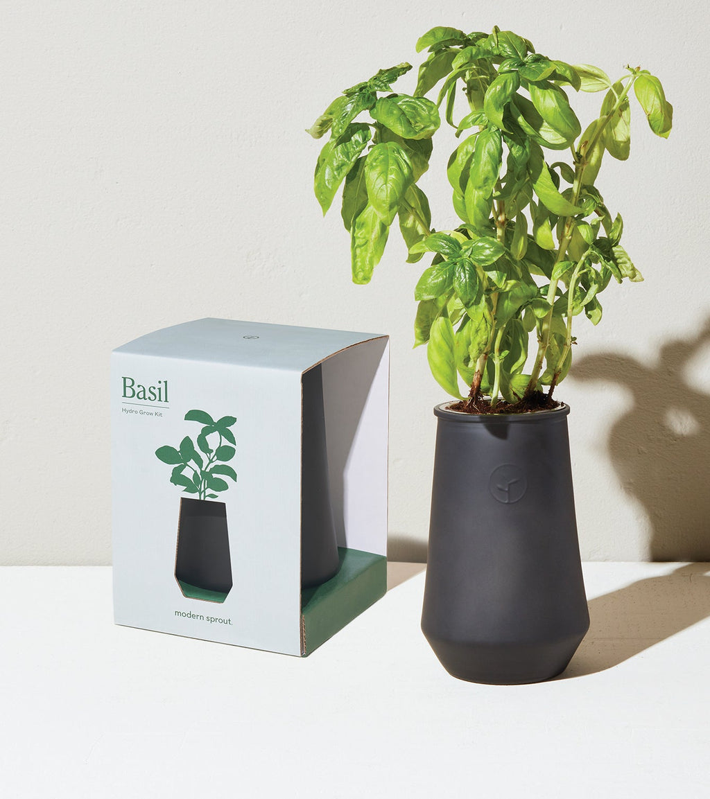 Modern Sprout Tapered Tumbler Grow Kits