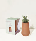 Modern Sprout Tapered Tumbler Grow Kits Lavender | Heirloom Boulevard