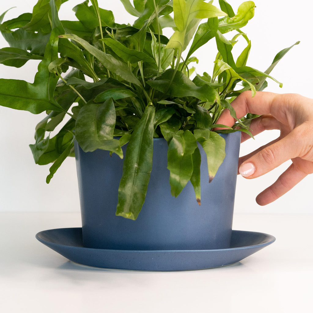 Geometric Oval Handmade Porcelain Planter Ember Collective | Heirloom Boulevard