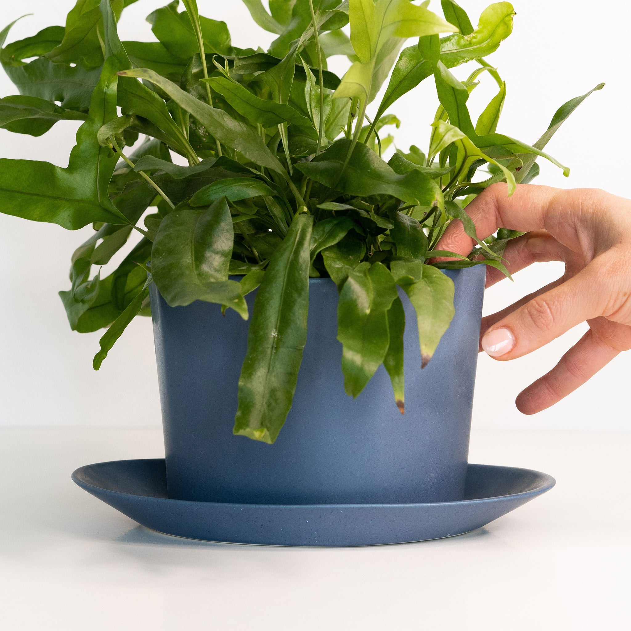 Geometric Oval Handmade Porcelain Planter Ember Collective | Heirloom Boulevard