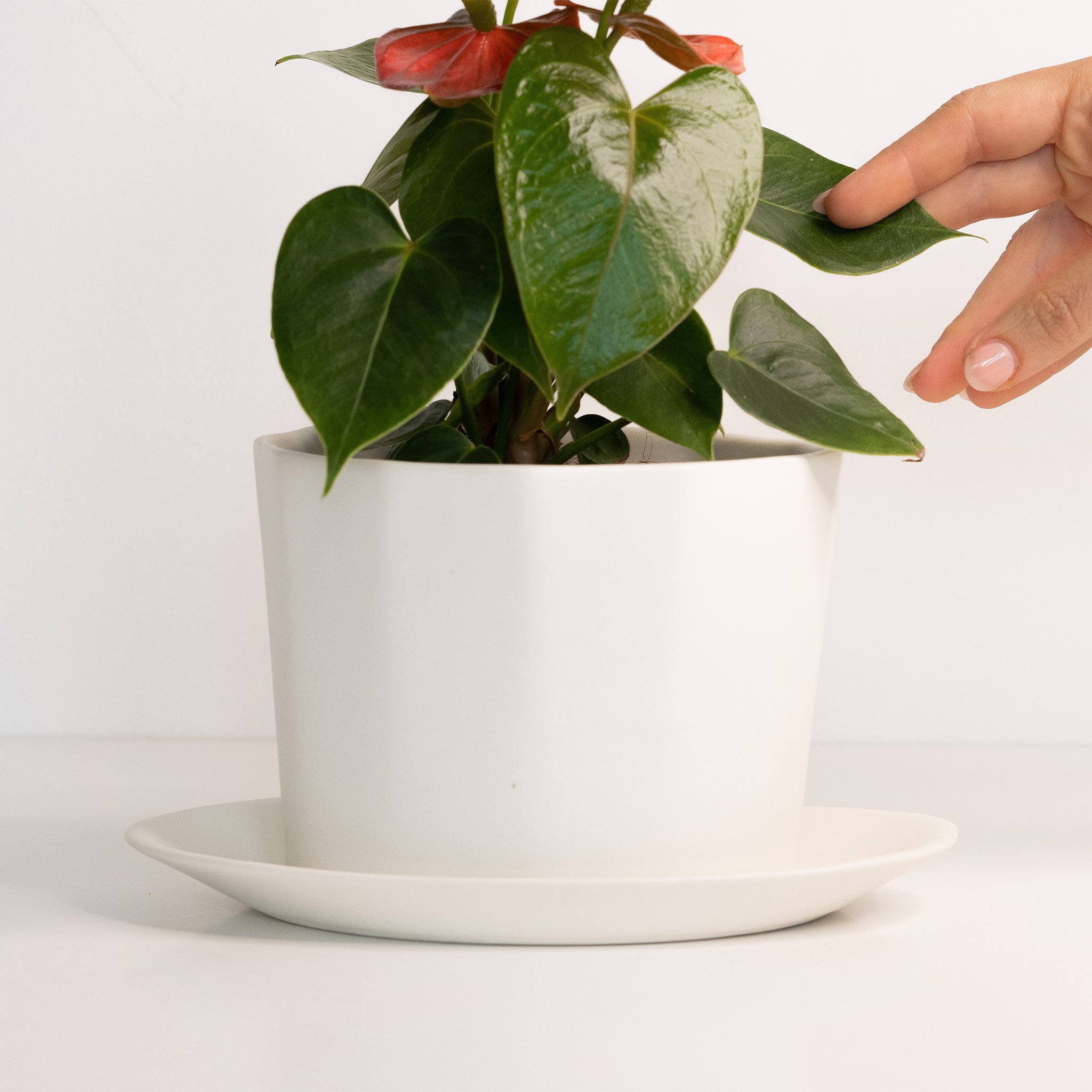 Geometric Oval Handmade Porcelain Planter Ember Collective | Heirloom Boulevard