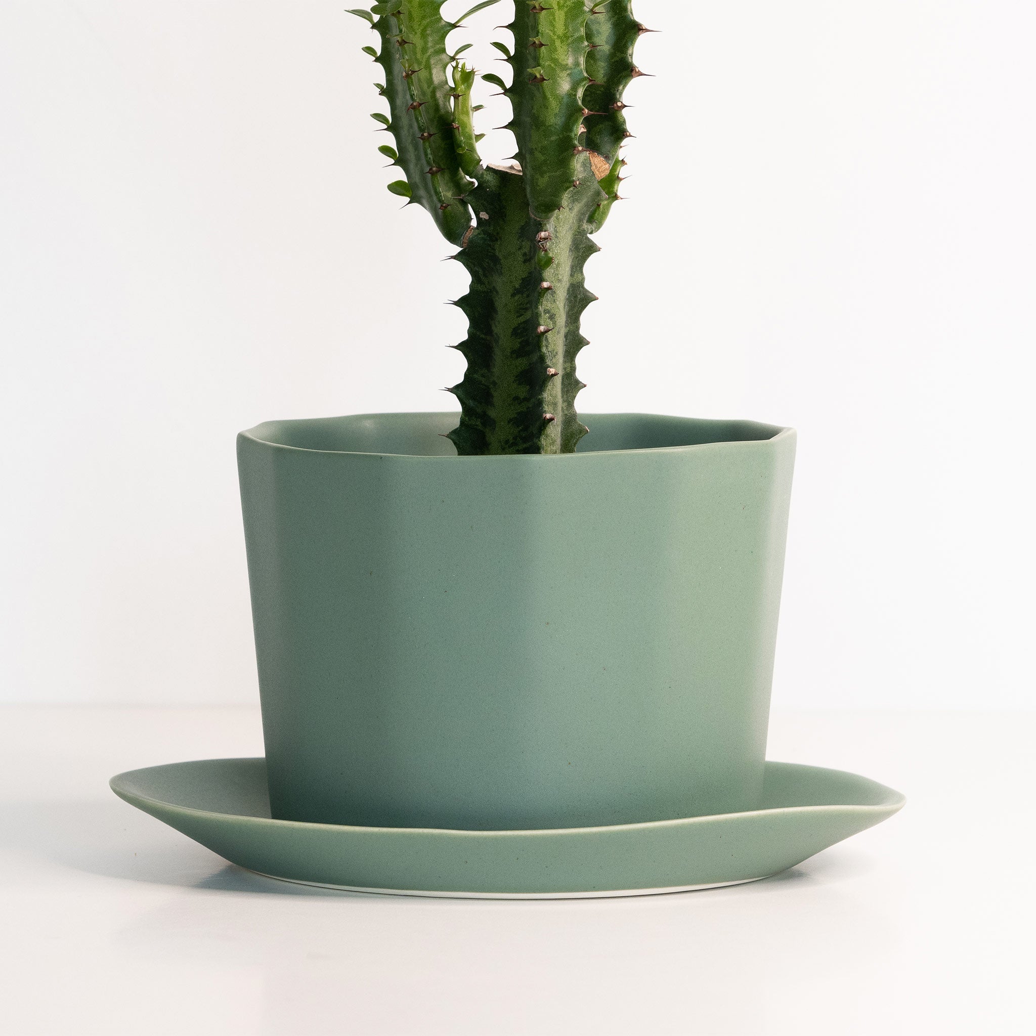 Geometric Oval Handmade Porcelain Planter Ember Collective | Heirloom Boulevard