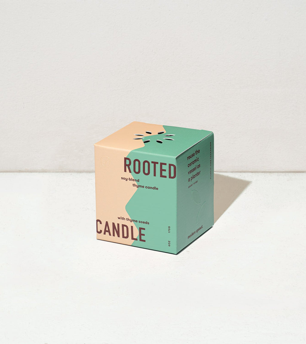Modern Sprout Rooted Candles