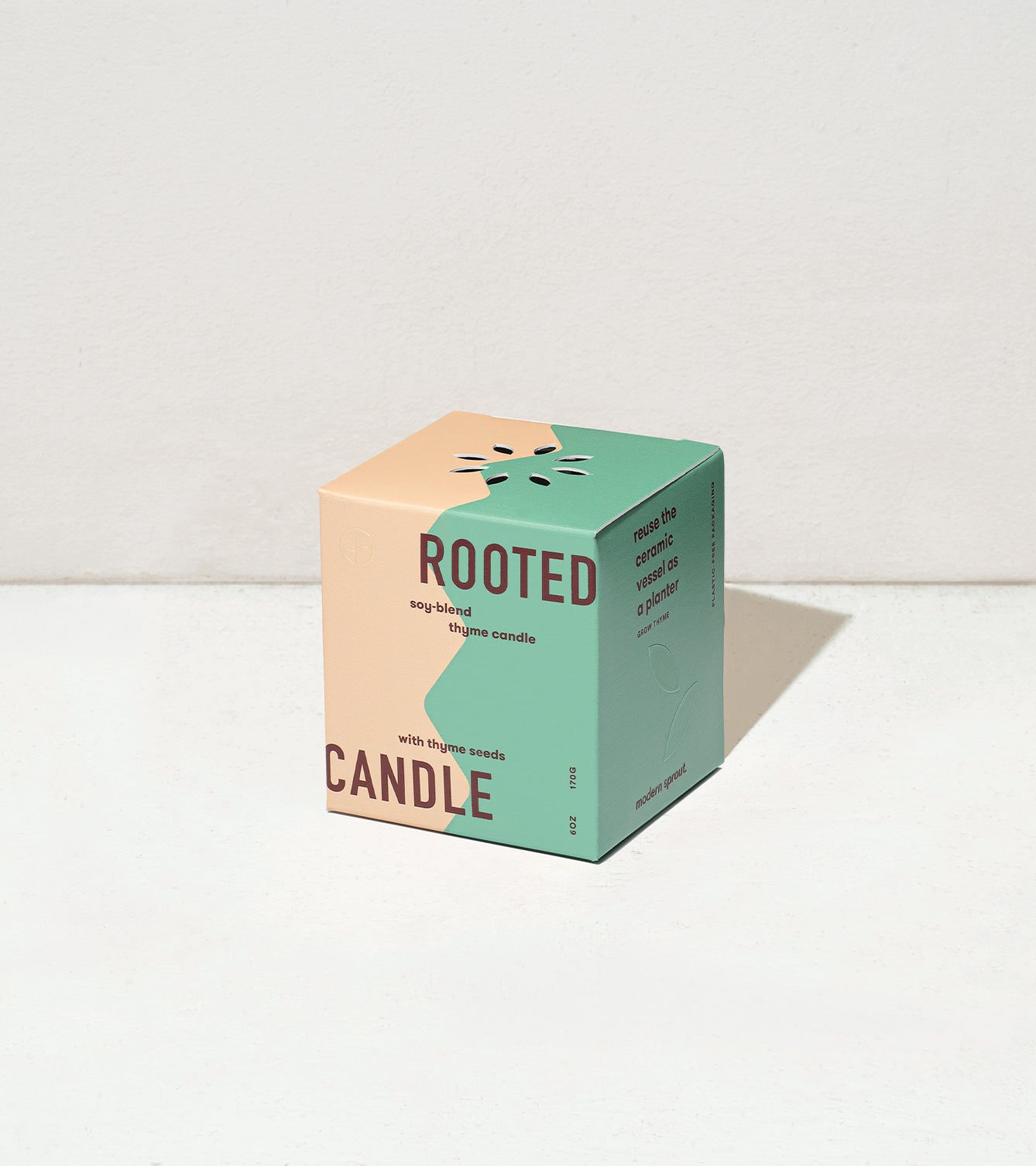 Modern Sprout Rooted Candles