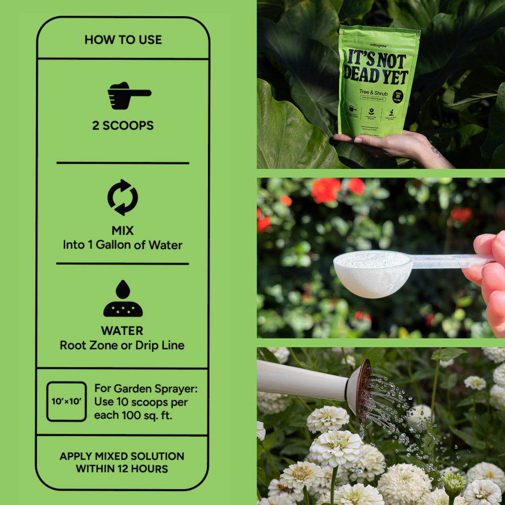 MitoGrow Tree & Shrub | Heirloom Boulevard