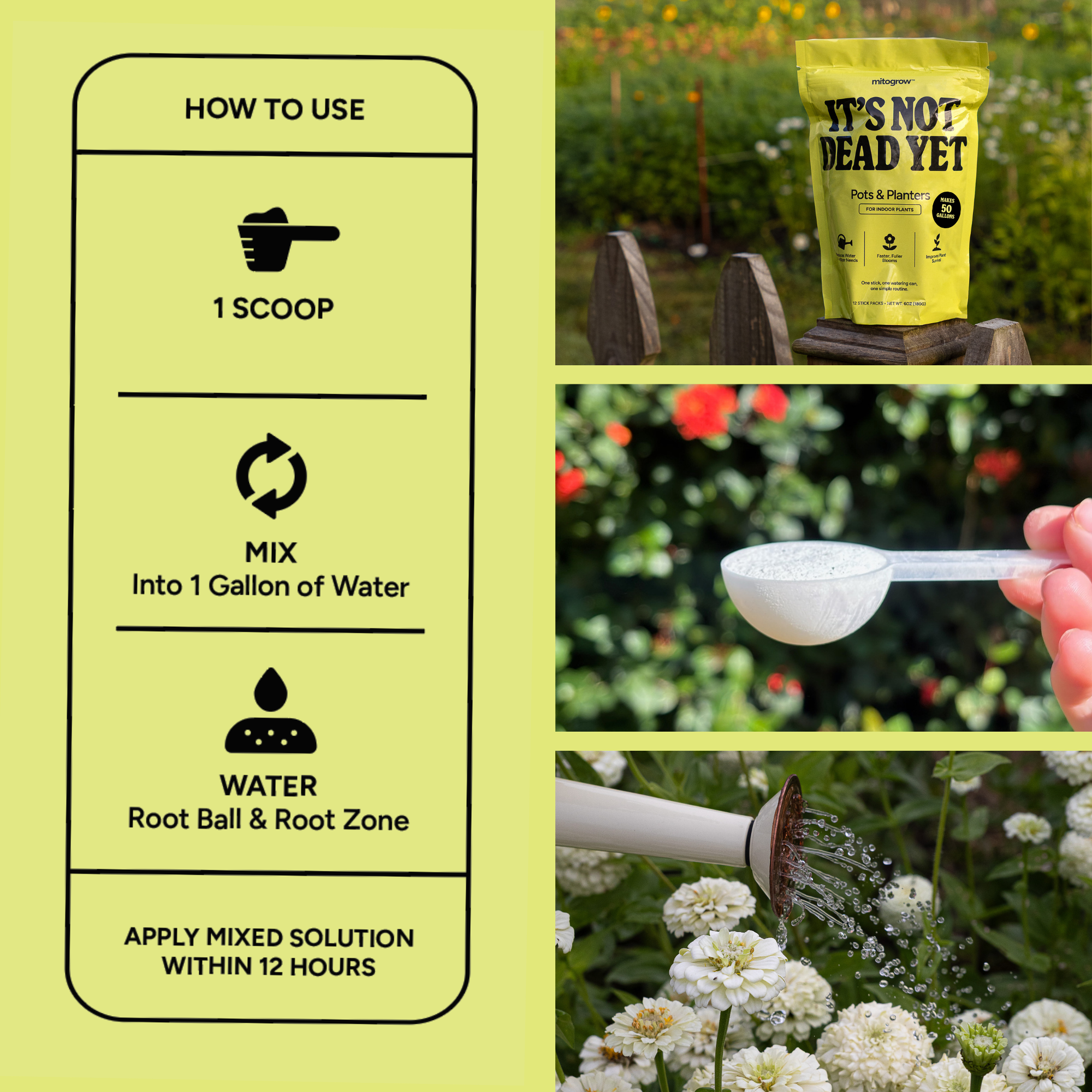 MitoGrow Pots & Planters | Heirloom Boulevard