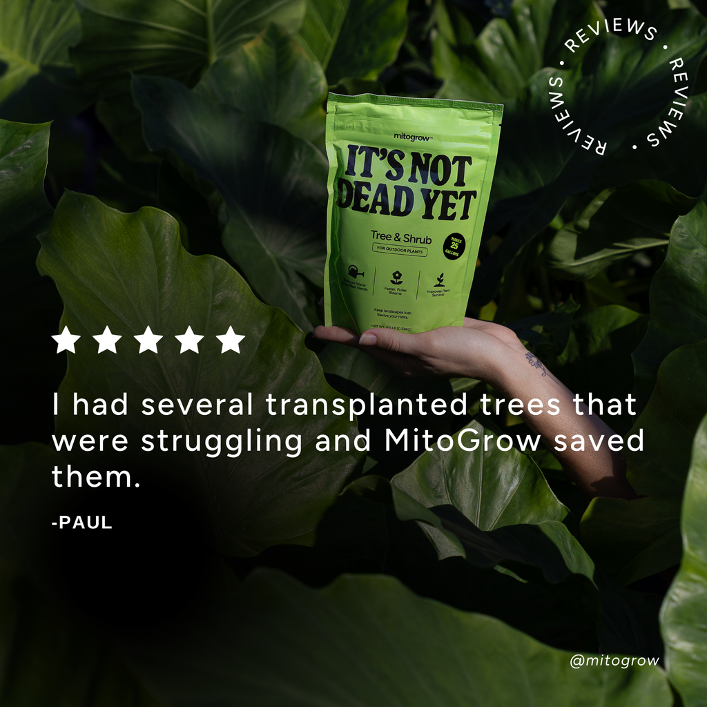 MitoGrow Tree & Shrub | Heirloom Boulevard