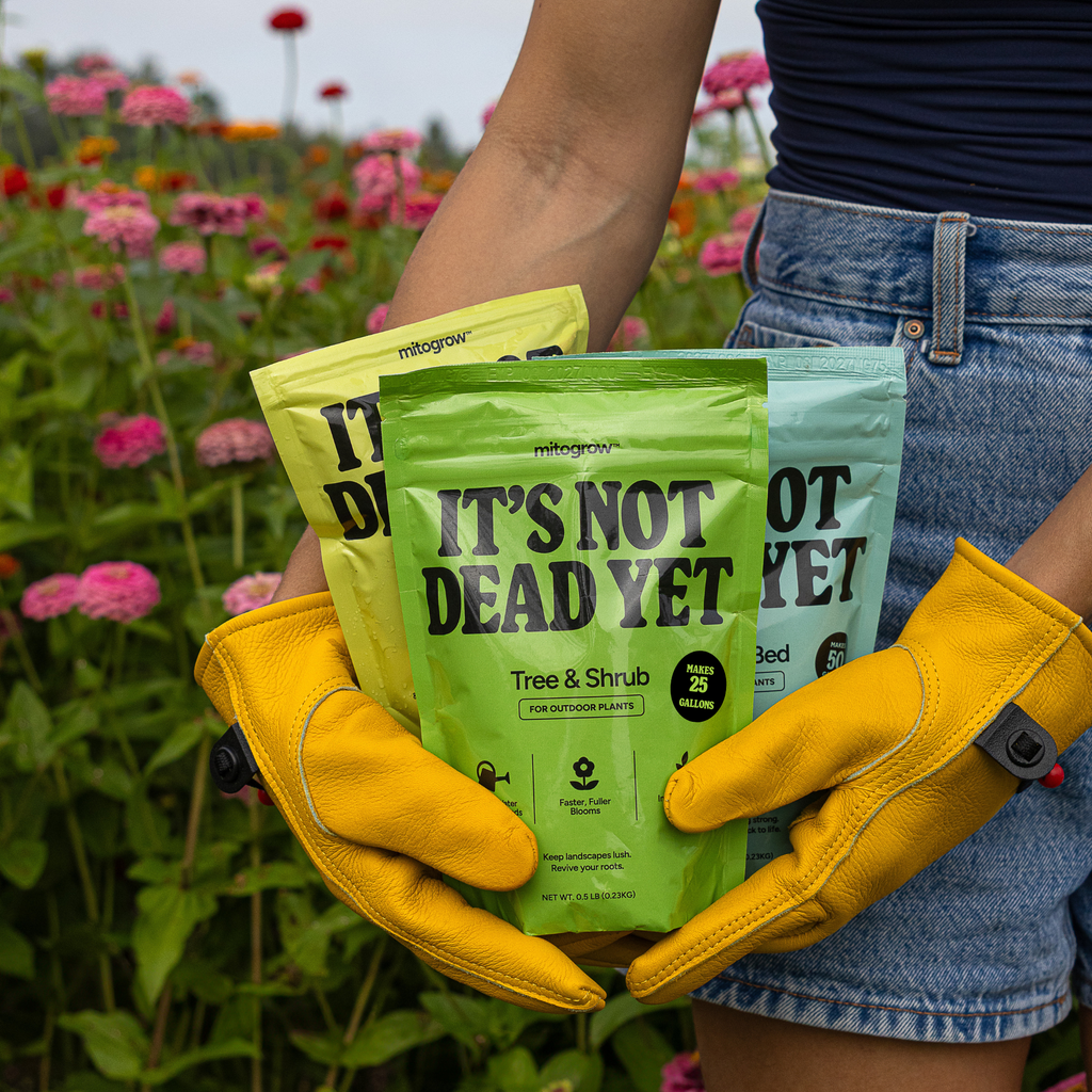 MitoGrow Garden Bundle | Heirloom Boulevard