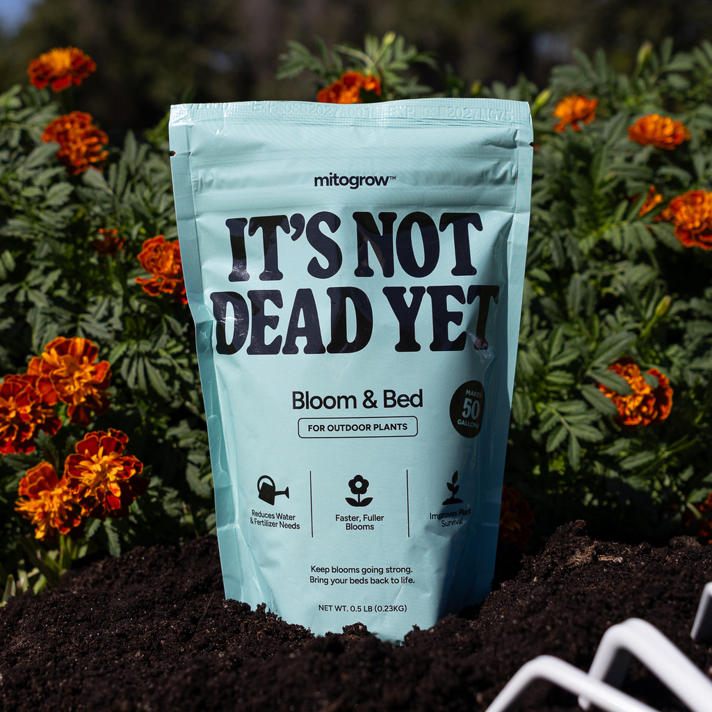 MitoGrow Bloom & Bed | Heirloom Boulevard