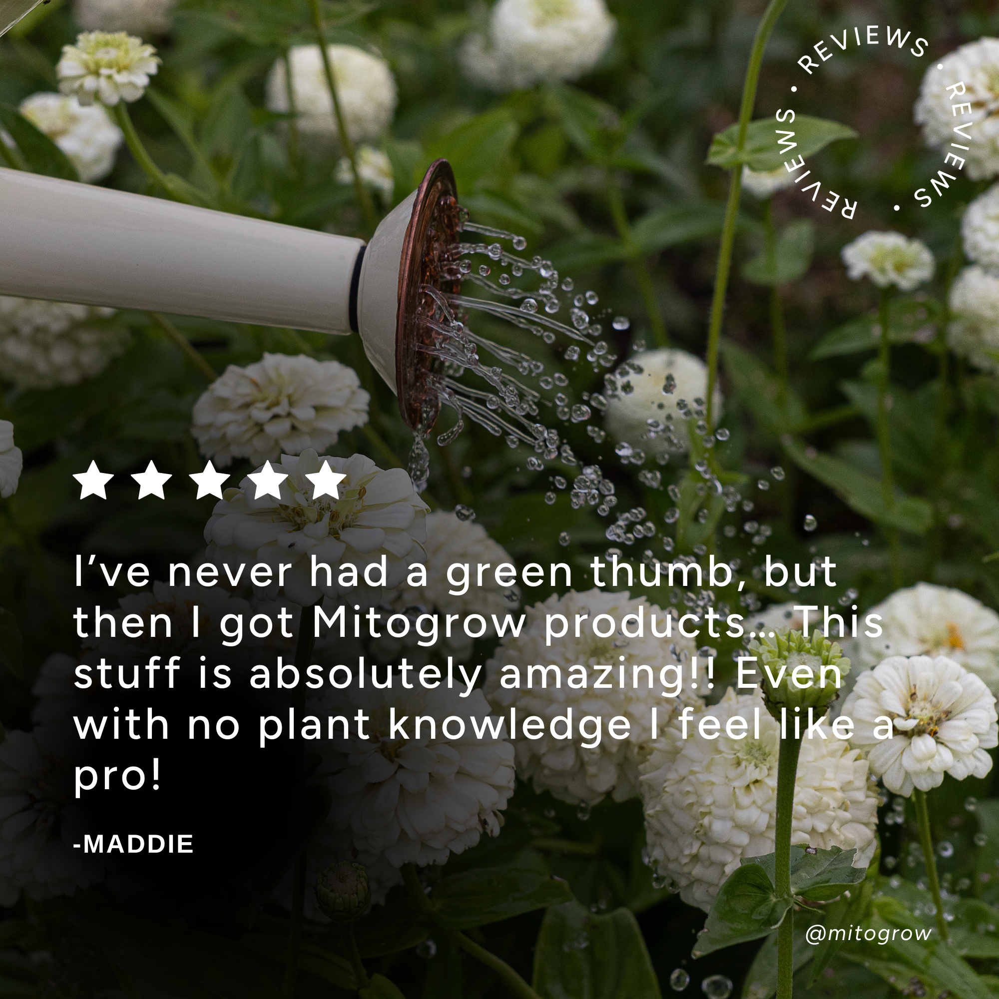 MitoGrow Pots & Planters | Heirloom Boulevard
