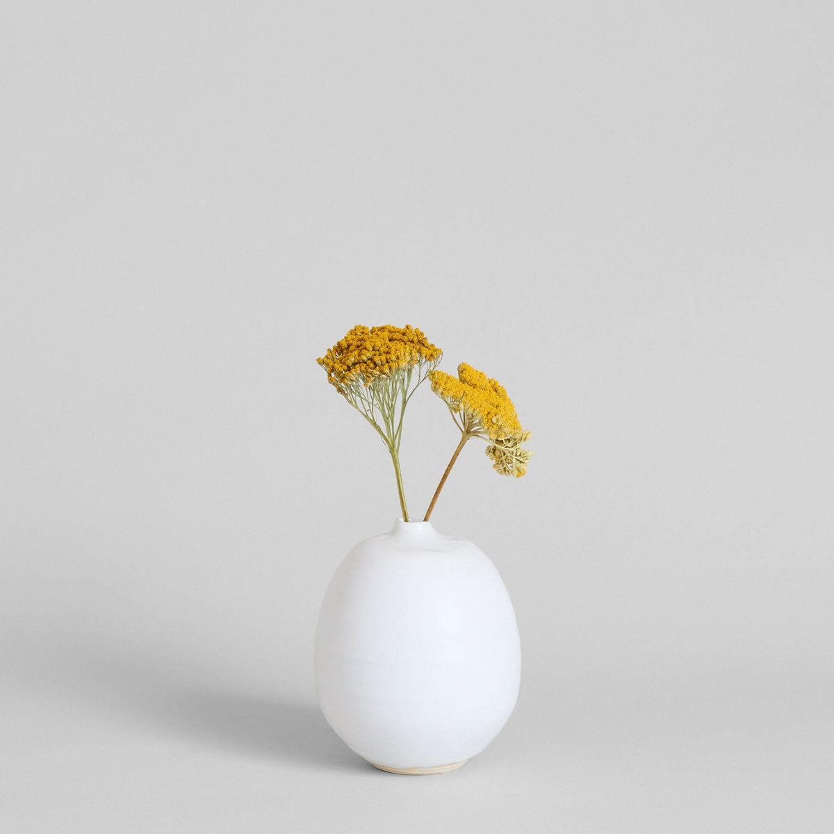 Bloomist Dried Natural Yarrow | Heirloom Boulevard
