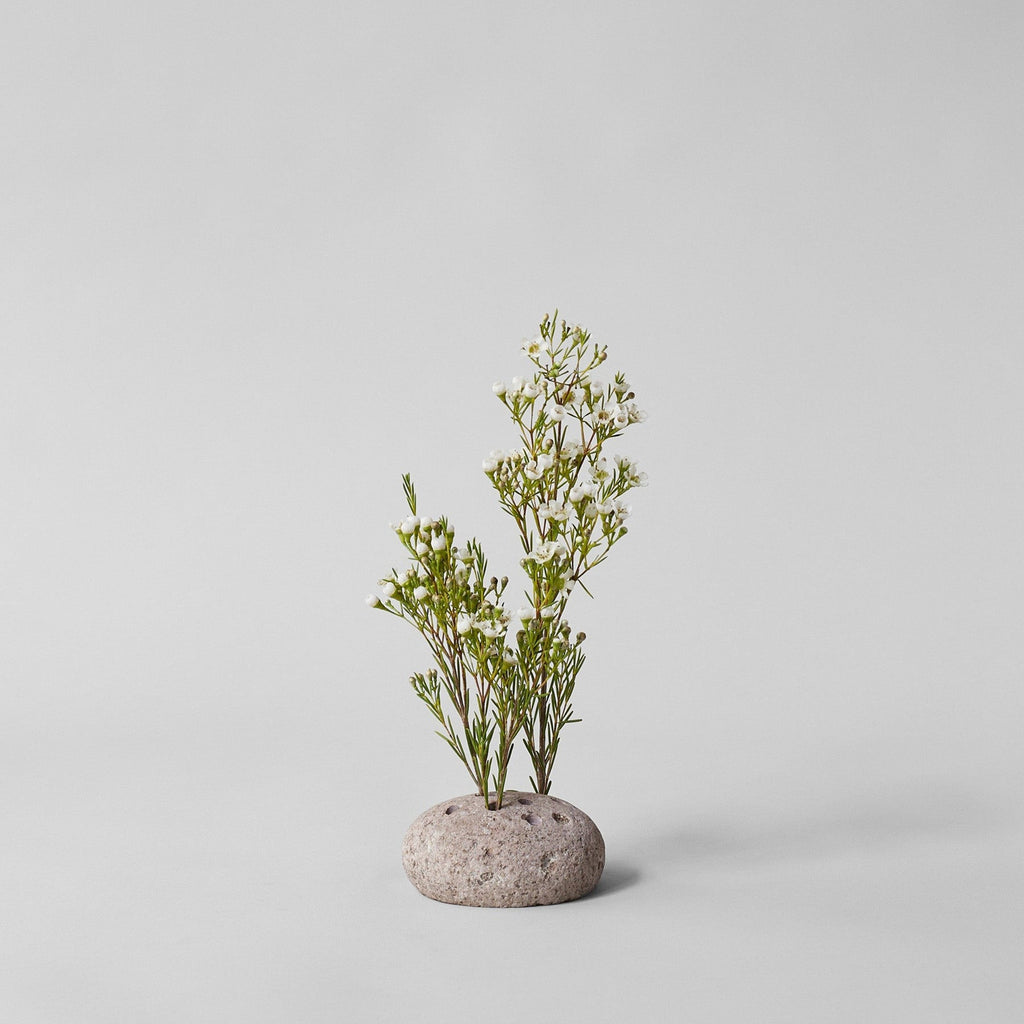 Bloomist Round Stone Frog | Heirloom Boulevard