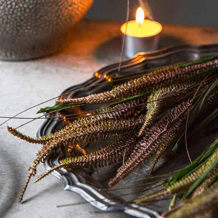 Bloomist Faux Veronica Bunch Dusk | Heirloom Boulevard