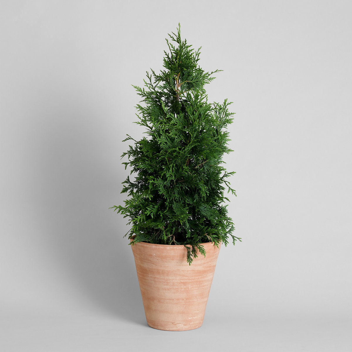 Bloomist Whitewash Terracotta Studio Planter XXX-Large No Tray | Heirloom Boulevard