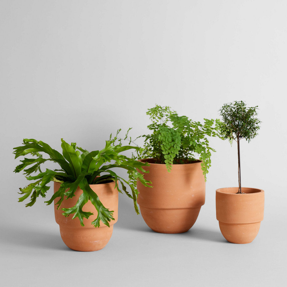 Bloomist Big Cuff Planter | Heirloom Boulevard