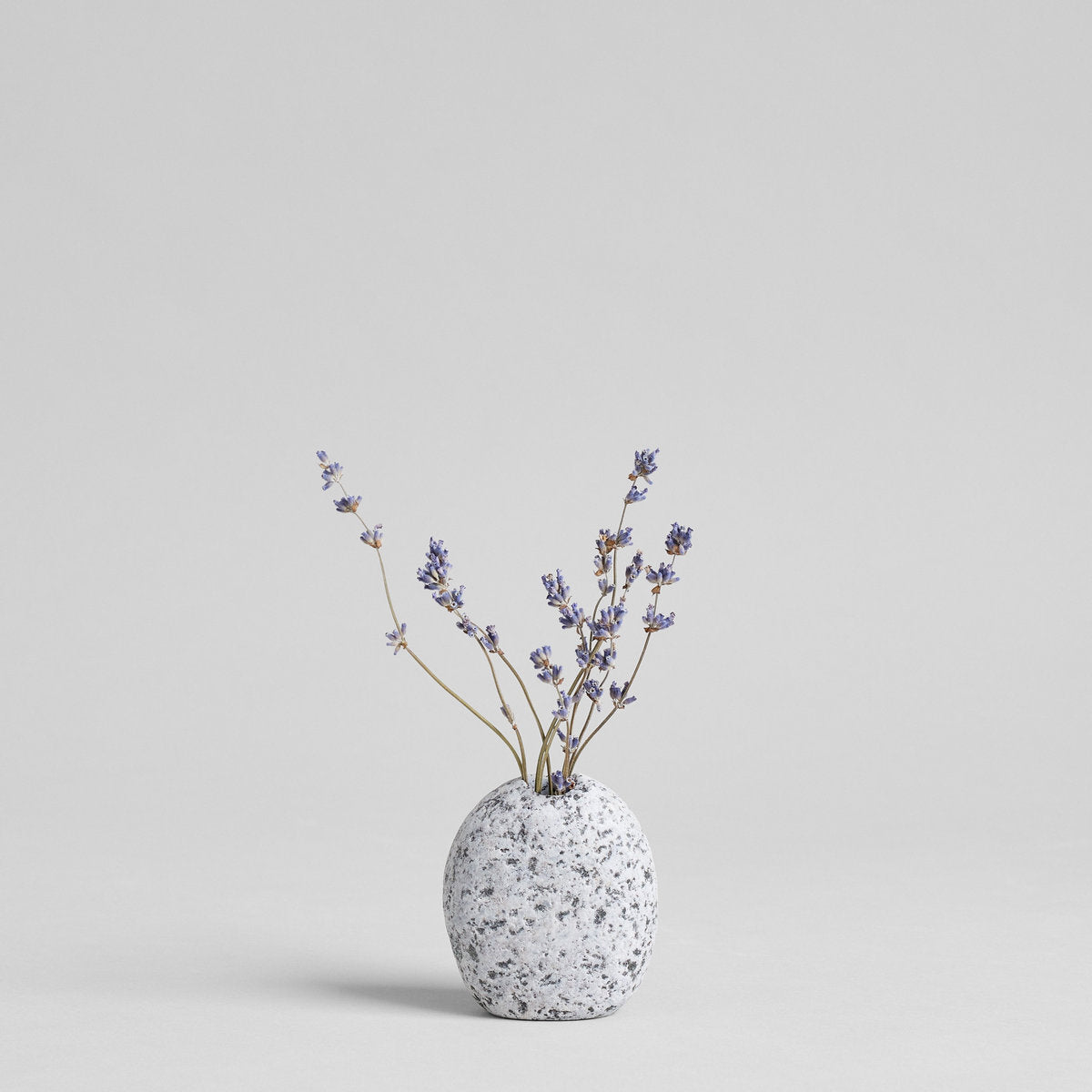 Bloomist Dried Lavender | Heirloom Boulevard
