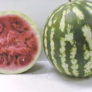 WATERMELON Seeds, Crimson Sweet | Heirloom Boulevard