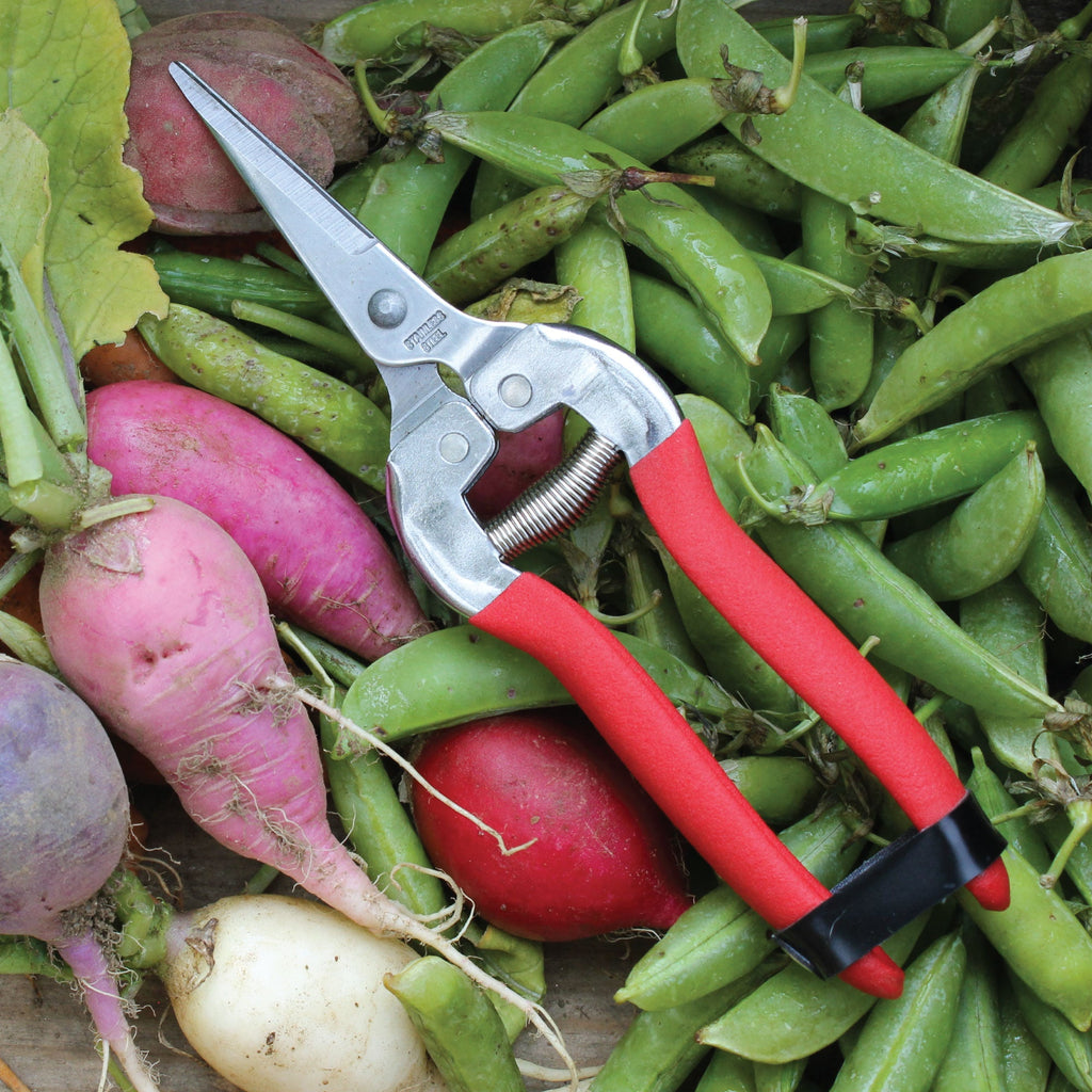 Compact Pruning Shears, Woodland Garden | Heirloom Boulevard