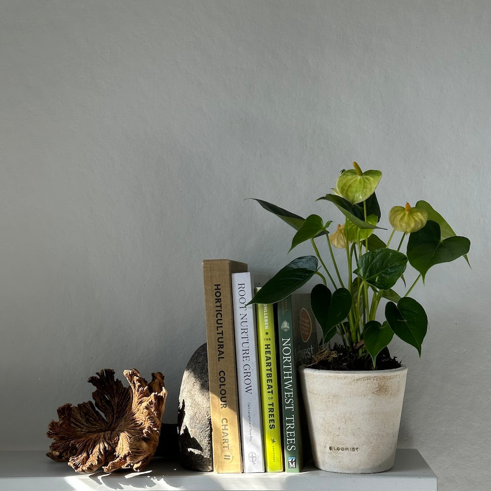 Bloomist Basic Planter, White Patina | Heirloom Boulevard