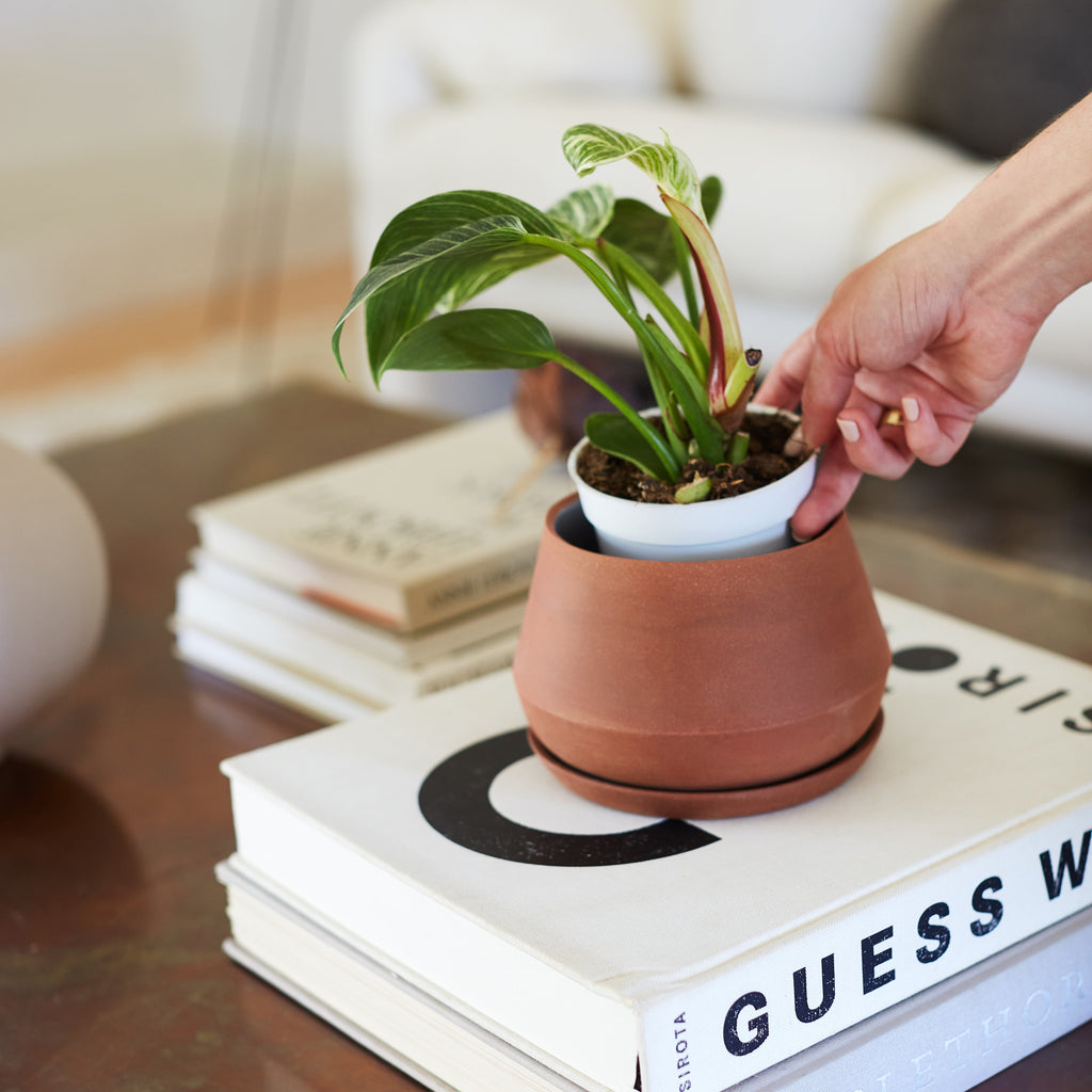 LBE Design Rancho Planter - 5 Inch with Saucer | Heirloom Boulevard
