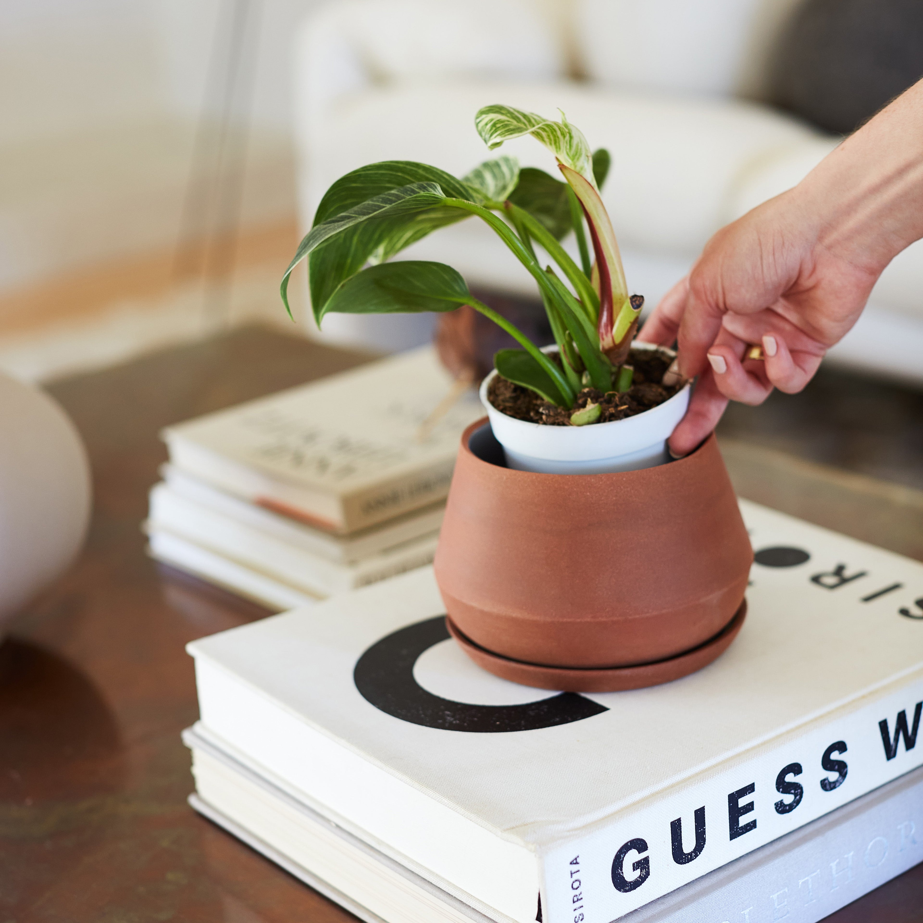 LBE Design Rancho Planter - 5 Inch with Saucer | Heirloom Boulevard