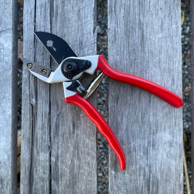 Anvil Pruner - Quality Anvil + Blade Shears | Heirloom Boulevard