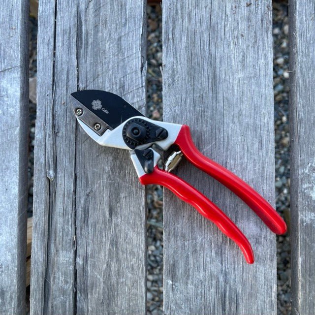 Anvil Pruner - Quality Anvil + Blade Shears | Heirloom Boulevard